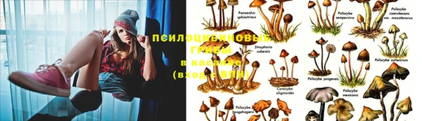 мдма Зеленодольск